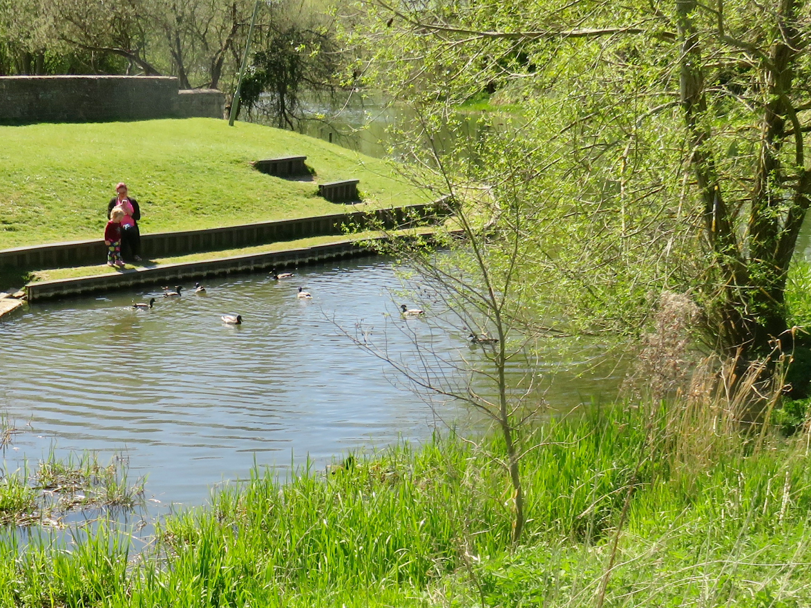 https://whatremovals.co.uk/wp-content/uploads/2022/02/Millennium Riverside walk-300x225.jpeg